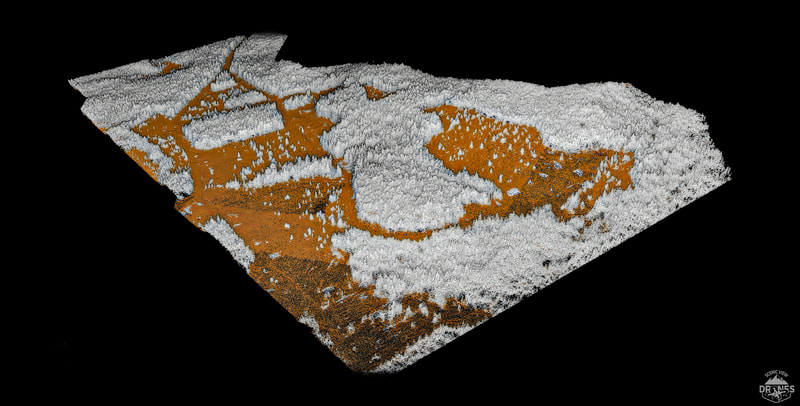 Forestry Applications